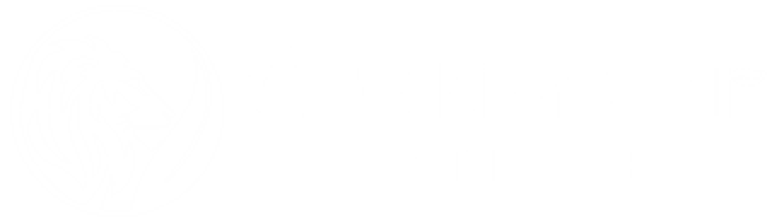 GroMaster Fertilizer